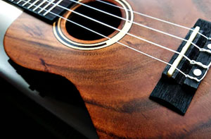 Ukulele Lessons Arbroath (DD11) Ukulele Lessons Arbroath (DD11)